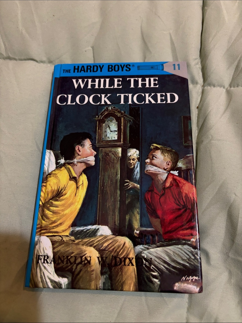 Book cover: - The Hardy Boys While the Clock Ticked #11